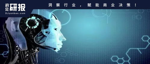 中國人工智能基礎(chǔ)層行業(yè)發(fā)展研究報(bào)告 基礎(chǔ)軟件開發(fā)篇