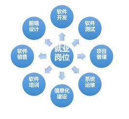 人工智能與大數(shù)據(jù)學(xué)院軟件技術(shù)專業(yè) 探索人工智能基礎(chǔ)軟件開發(fā)的未來之路